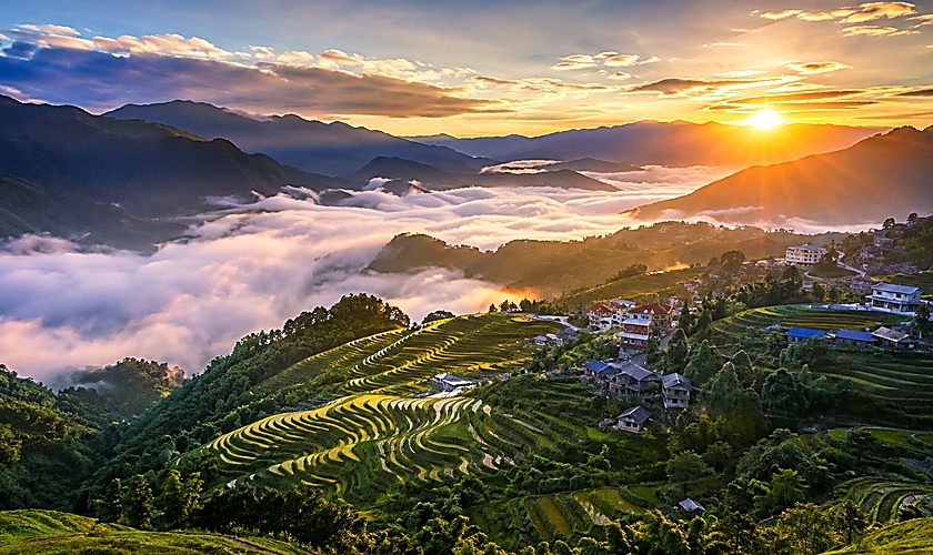Sapa